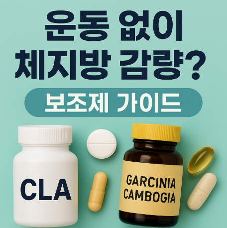 운동 없이 체지방 감량