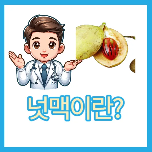 육두구 넛맥 효능 섭취방법 칼로리 가격 너트맥