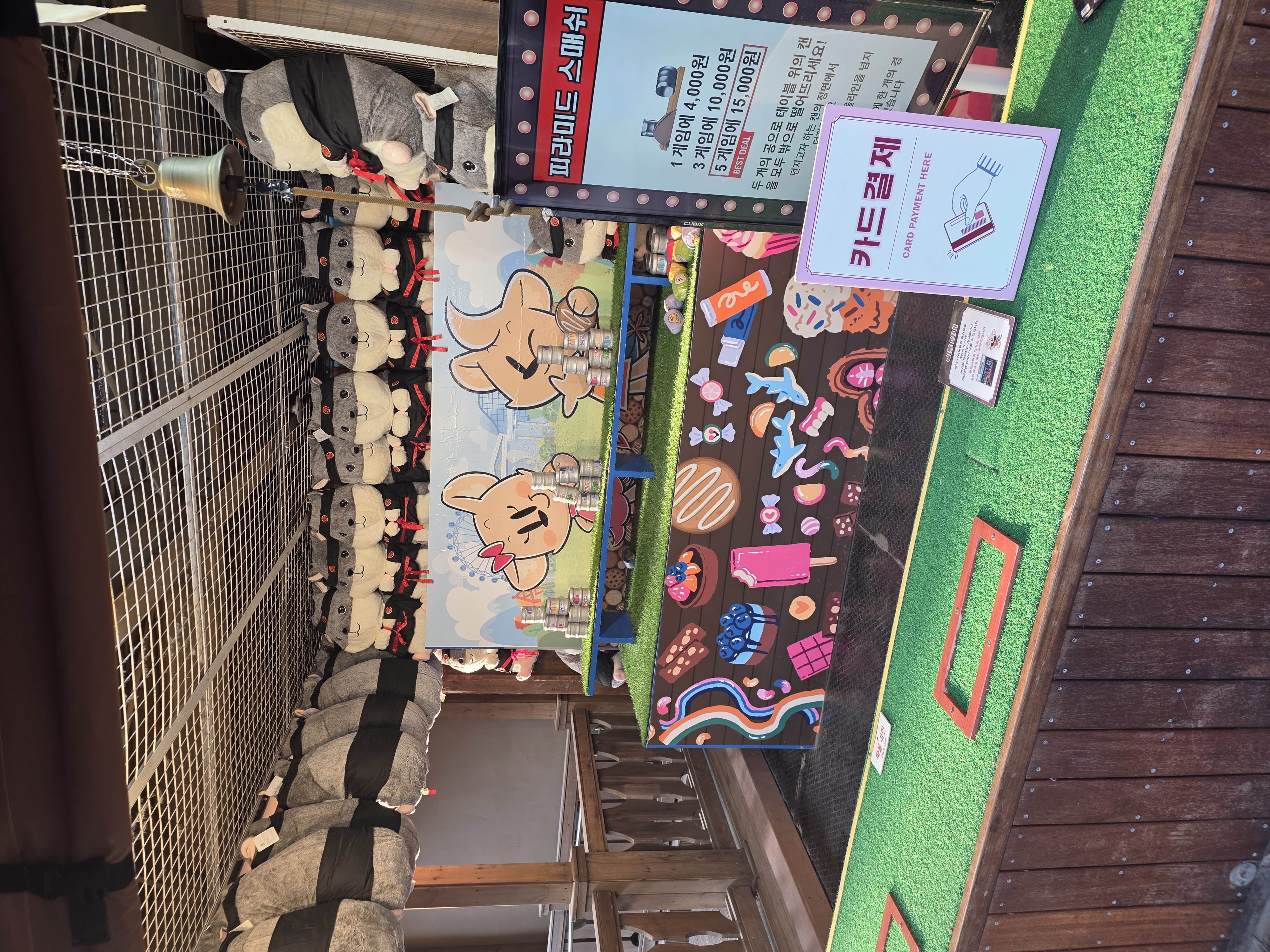 에버랜드 in. 용인 (2026년)