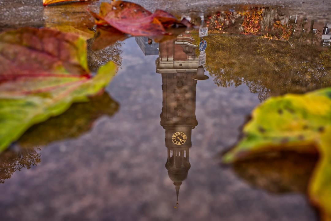 Puddle