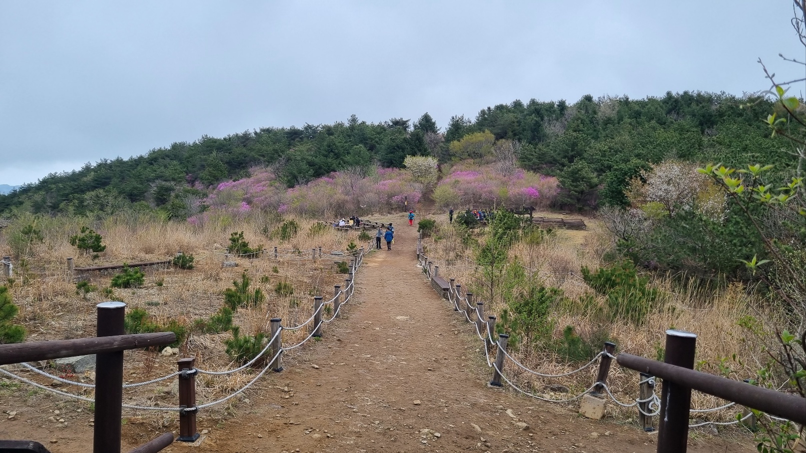 무학산 등산22