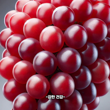 루비로망 효능