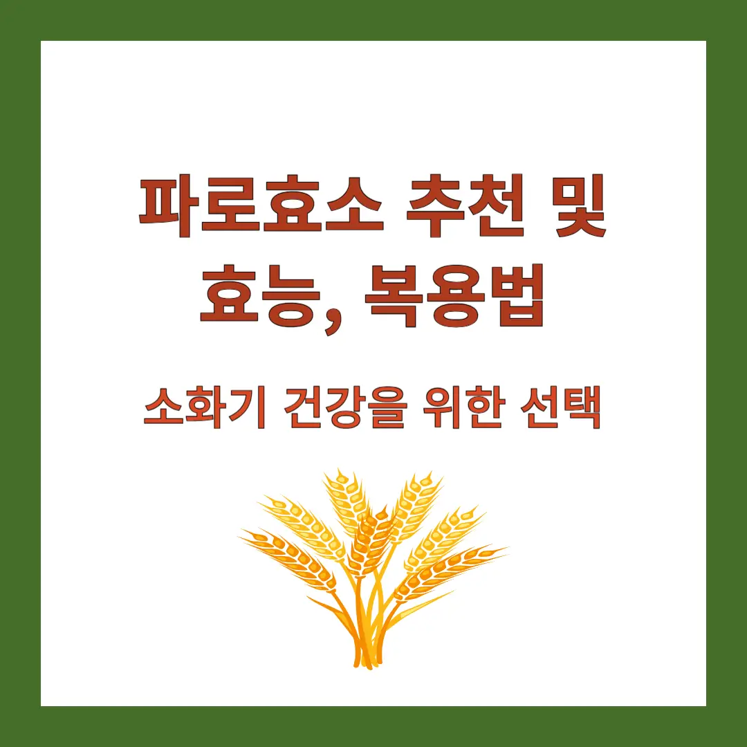 파로효소-효능-복용법