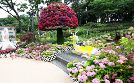 노원 초안산 수국동산 가는길&amp;#44; 주차장&amp;#44; 축제 근처 맛집 총정리(하늘꽃정원)