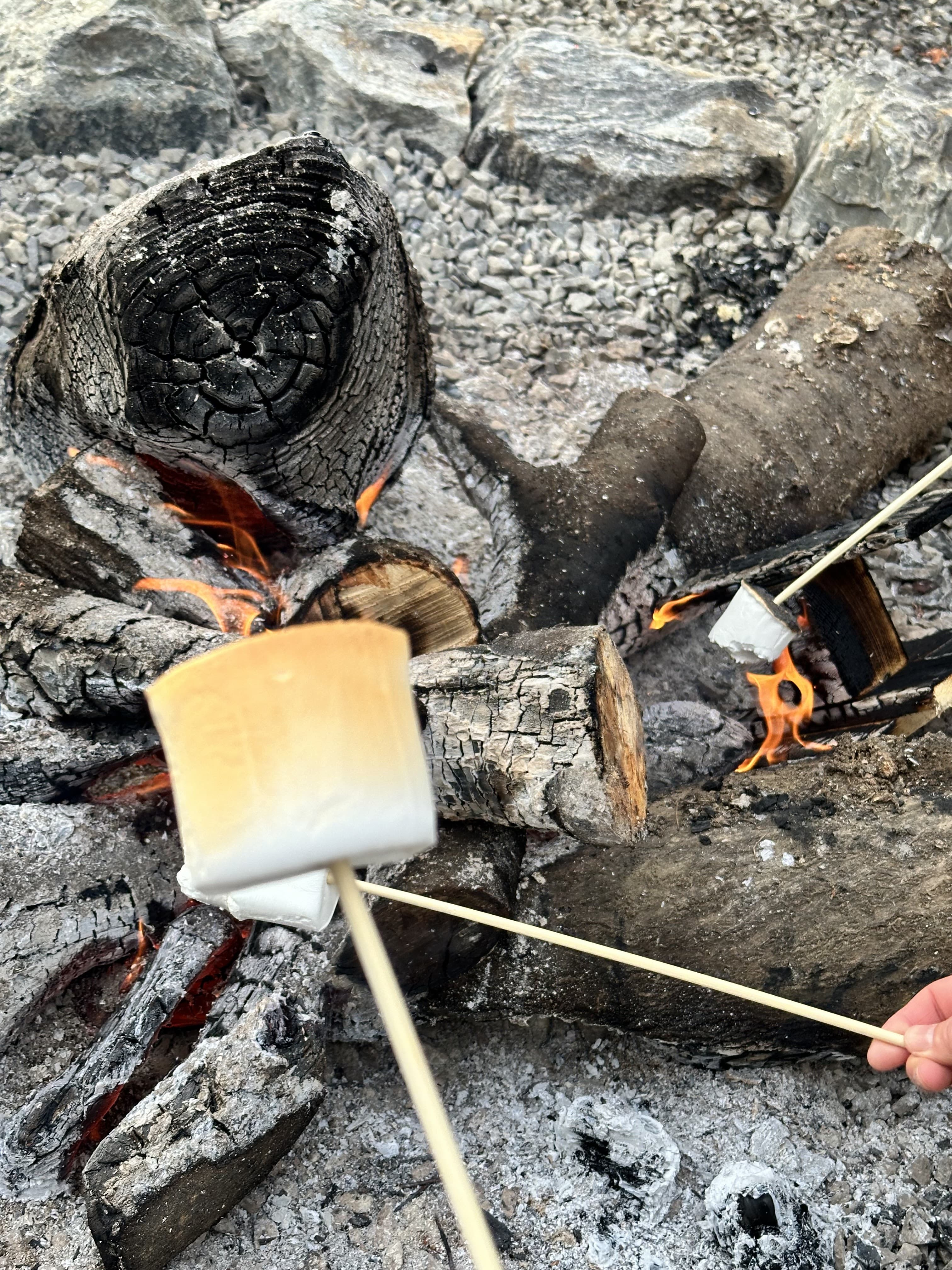 [충남 논산]사계절 내내 머물고 싶은 곳, 피나클랜드 수목원 이야기