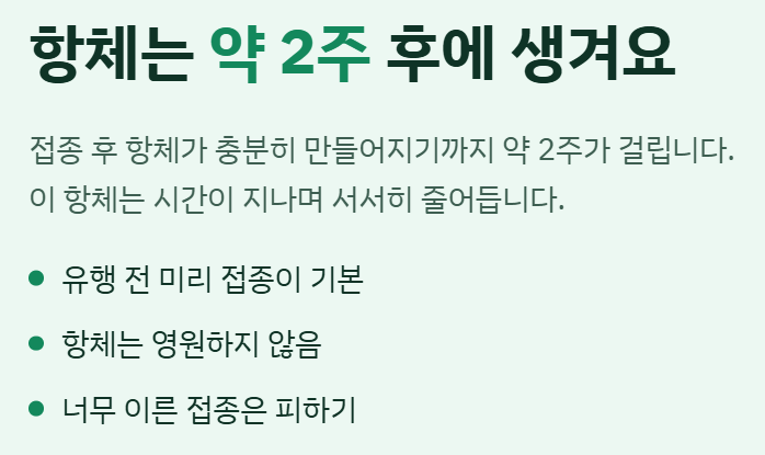 2026 독감 무료접종