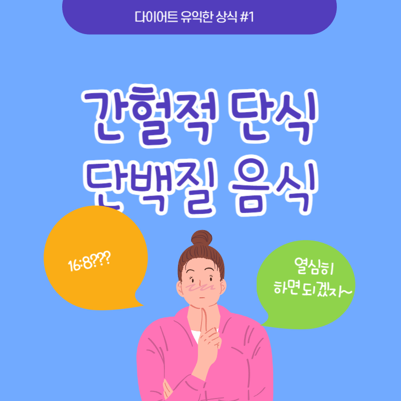 간헐적 단식 단백질 음식