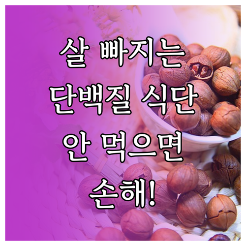성공적인 체중 감량을 위한 단백질 섭..