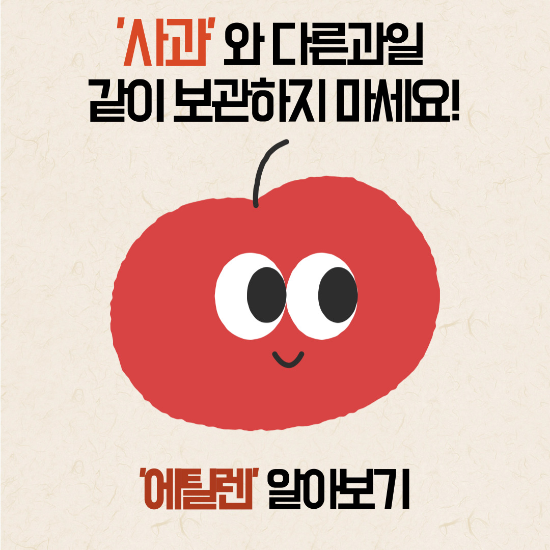 에틸렌