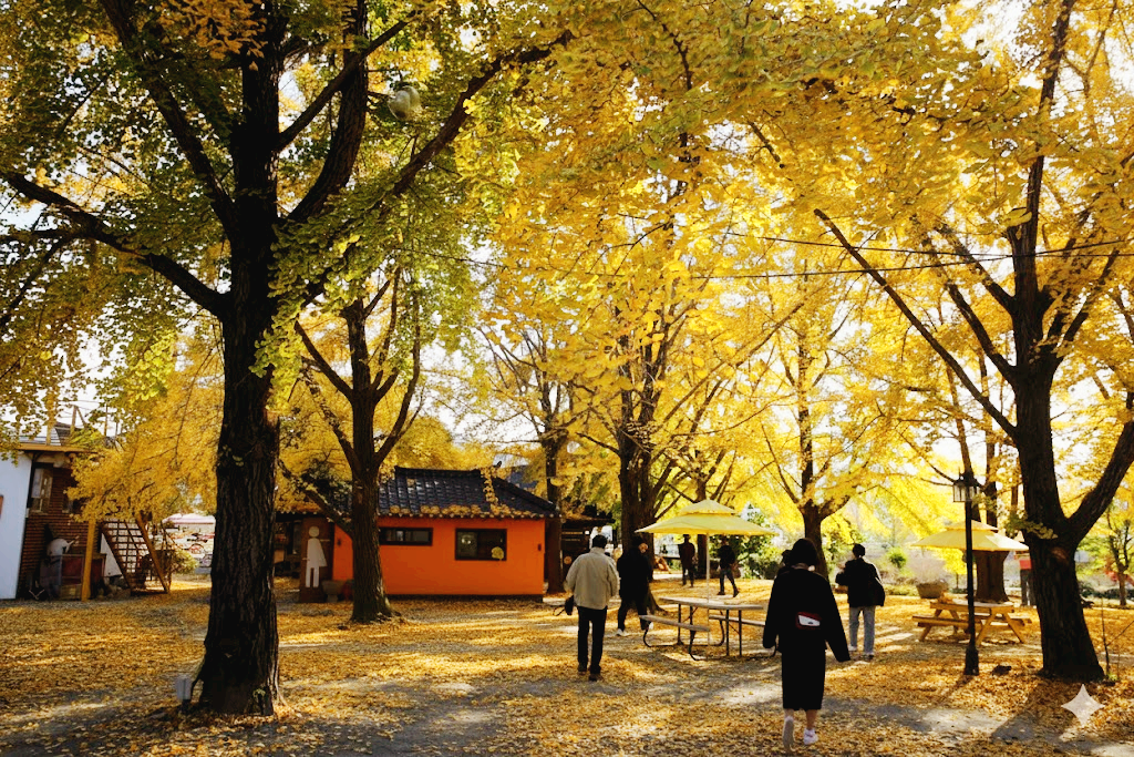 청라은행마을 단풍