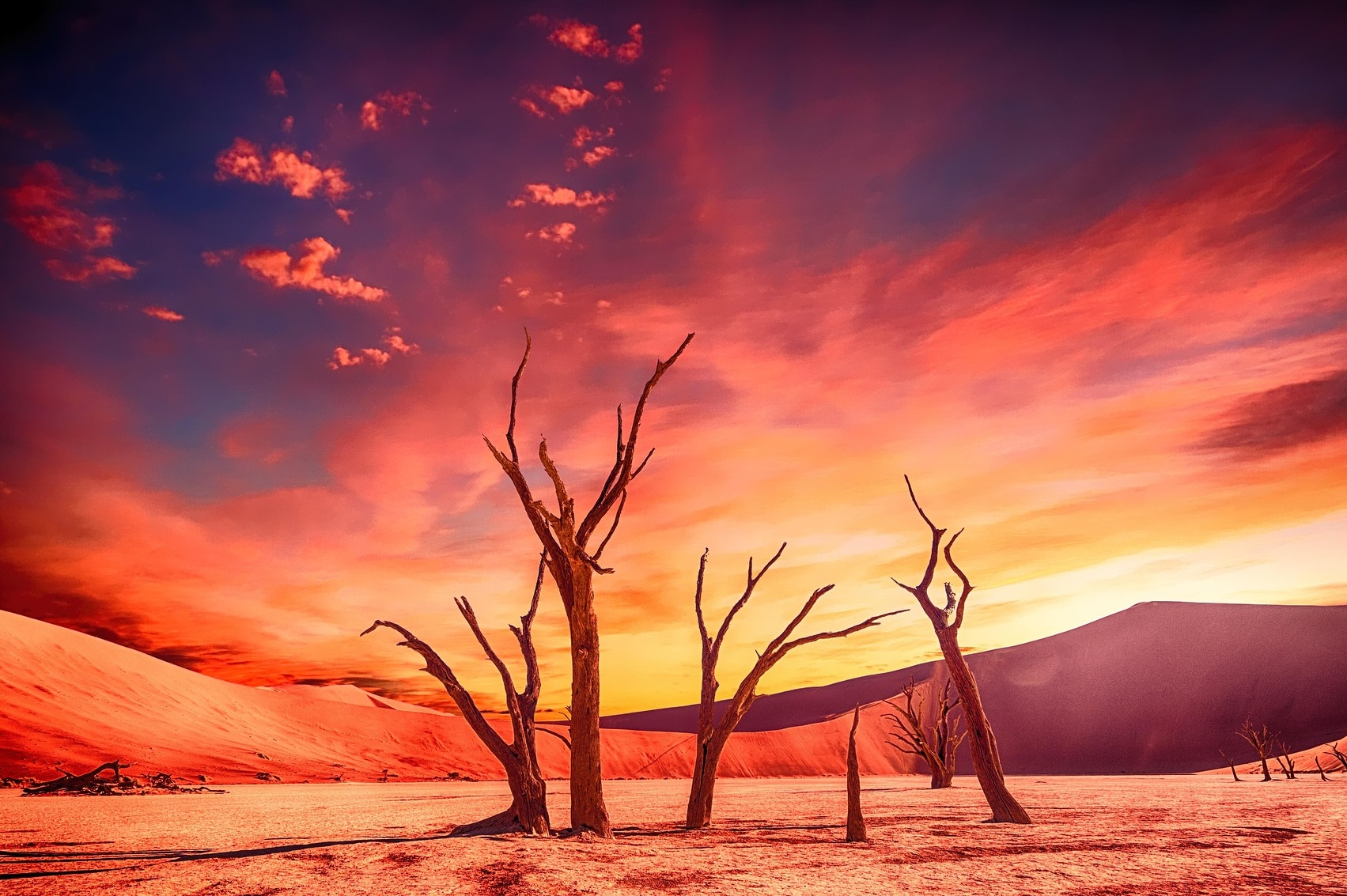 기후 위기는 왜 ‘정권 교체’의 핵심 변수로 떠올랐는가!