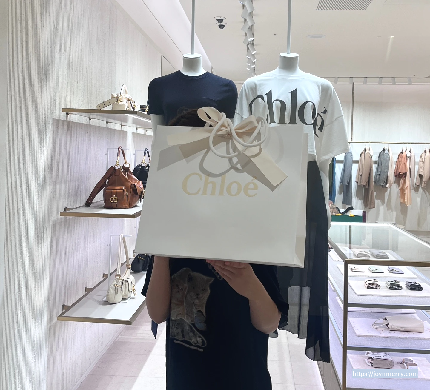 100만원대 명품백 끌로에 우디백 스몰