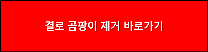 결로 곰파이 제거 바로가기
