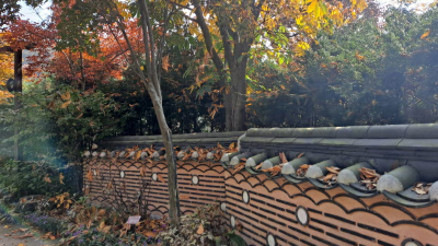 단풍명소_화담숲_전통담장길