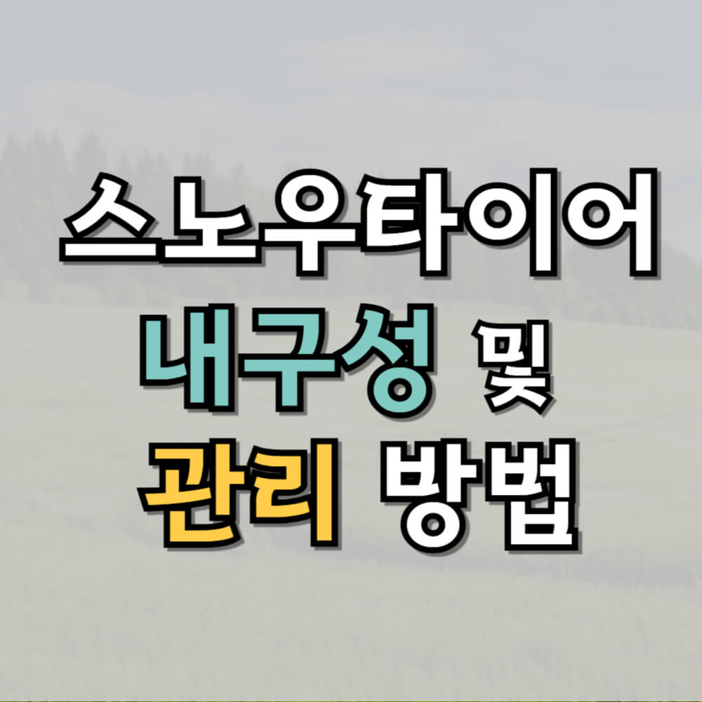 스노우타이어 내구성 및 관리 방법