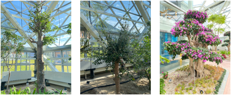 순창 발효테마파크