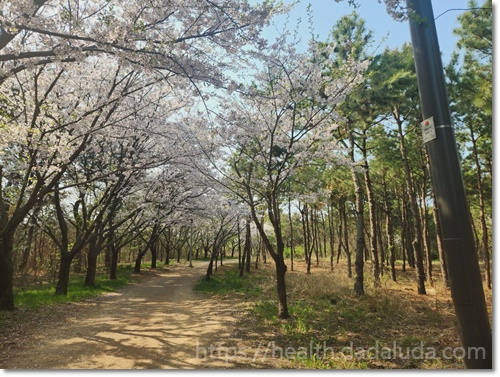 영종도 둘레길 1코스 건강백년길 주차장