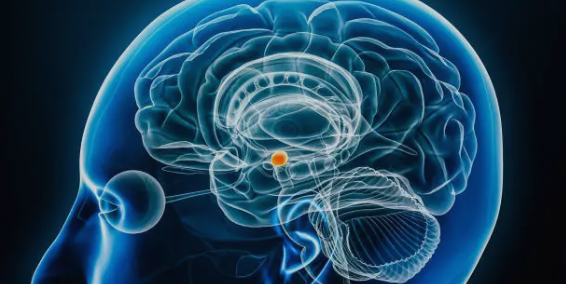 뇌의 창의성 창의적인 아이디어가 탄생하는 과정