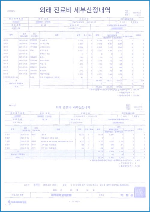 진료 세부내역서