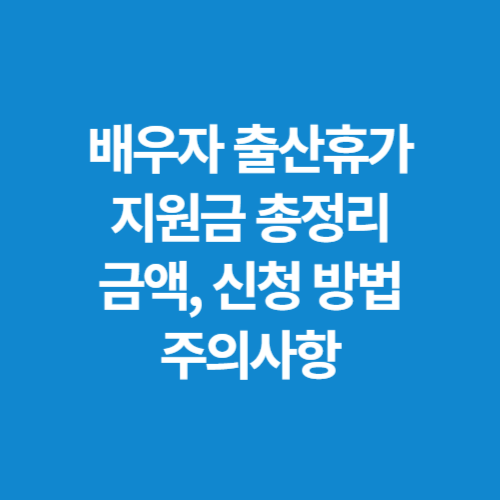 배우자-출산휴가-지원금-총정리-금액-신청-방법-주의사항