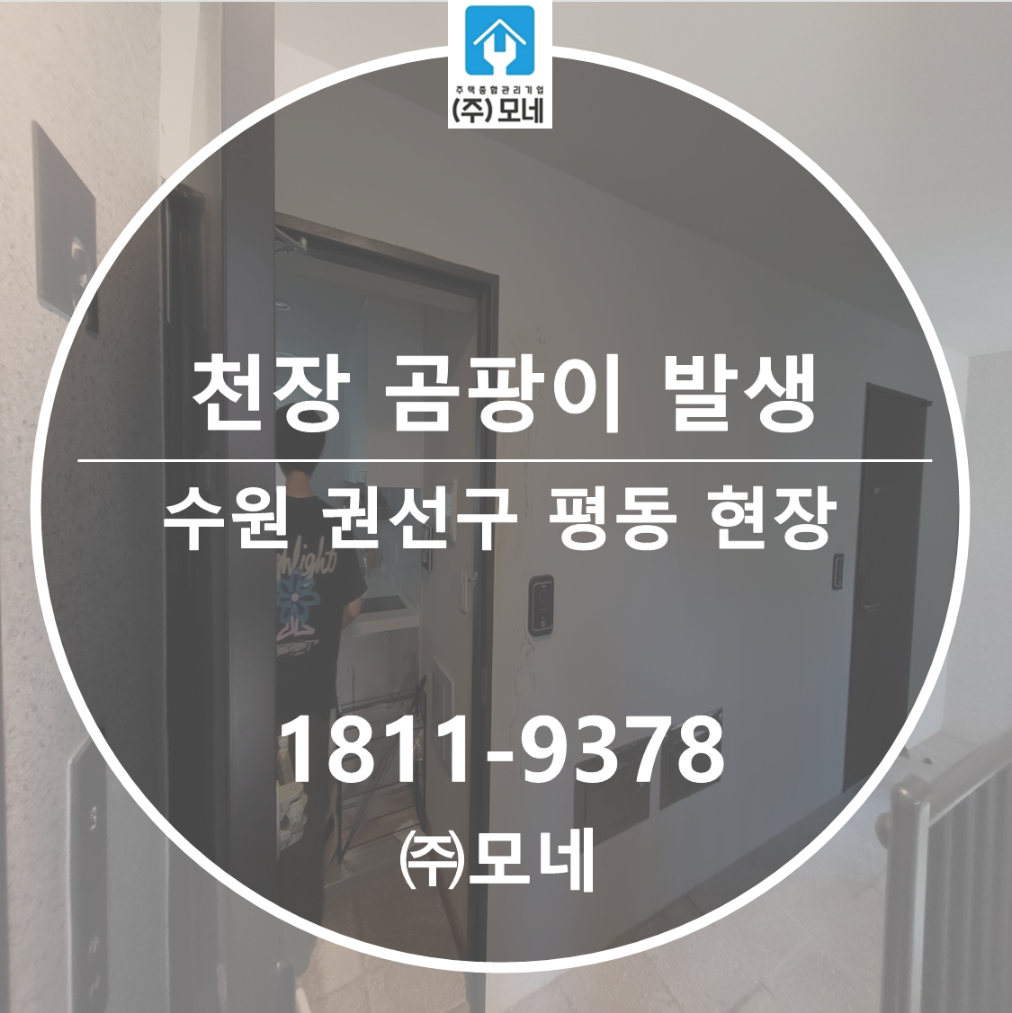 수원 누수업체 권선구 천장누수 탐지 7단계 점검 평동 곰팡이 현장 배관공사