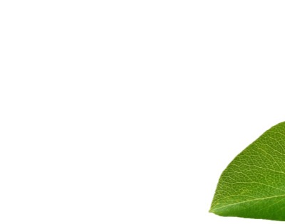 애사비 식초 효능