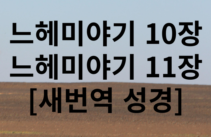 새번역 성경 느헤미야기 10장 11장 말씀
