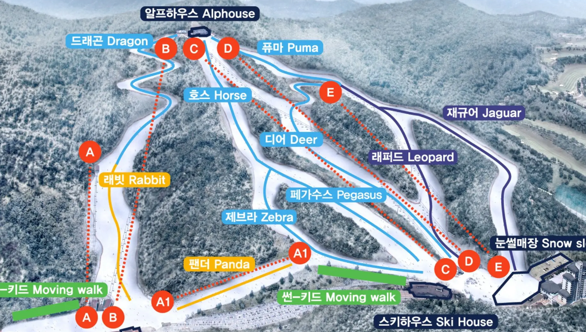 엘리시안 강촌 실시간 웹캠