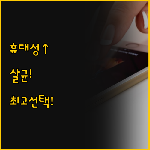 휴대성 효율성 살균 기능으로 보는 미..