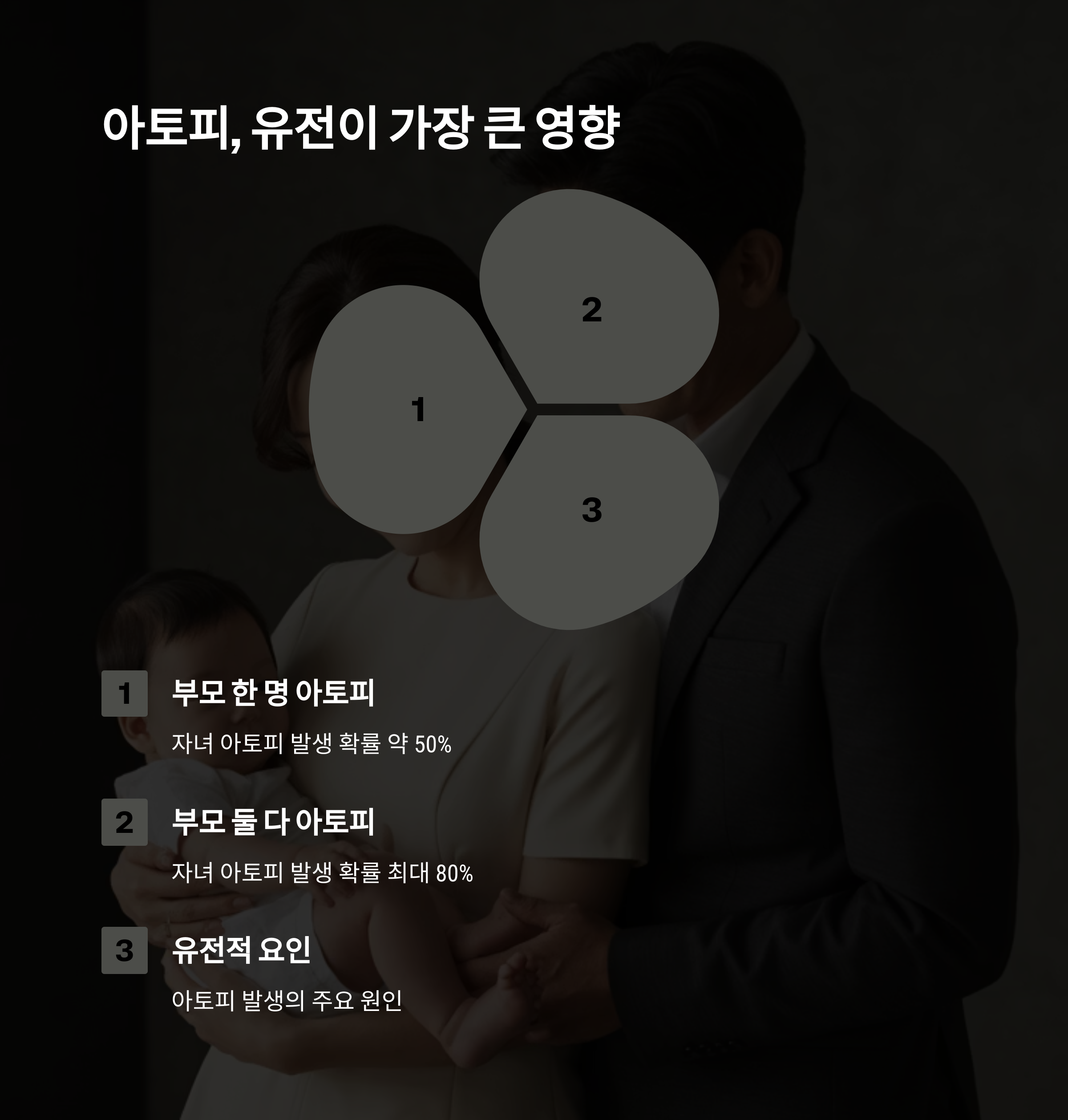 아토피에 유전이 가장 큰 영향을 미친다는 내용을 시각적으로 보여주는 이미지로, 부모 한 명 또는 부모 둘 다 아토피일 때 자녀 발생 확률을 설명합니다.