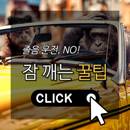 잠 깨는 꿀팁 썸네일