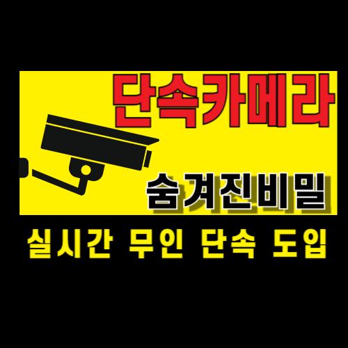 단속카메라