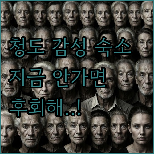 청도 감성 숙소 베스트 5 펜션 풀빌..