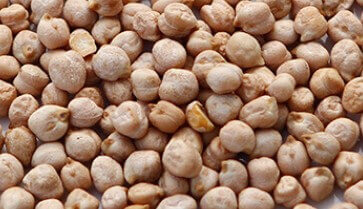 병아리콩-먹는방법-밥에-넣어서-먹기