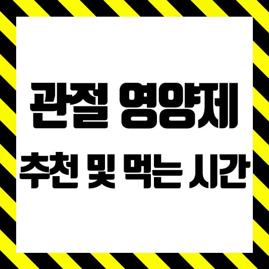 관절 영양제 추천