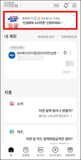 민생소비쿠폰농협체크카드17