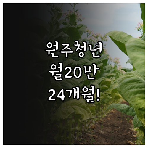 원주시 청년월세 지원 월 20만원 2..