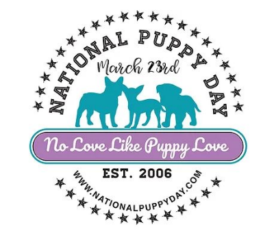 국제강아지의날1