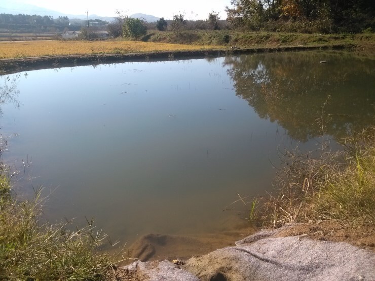 경기-파주-은사시-힐링캠핑장-사진-입니다.