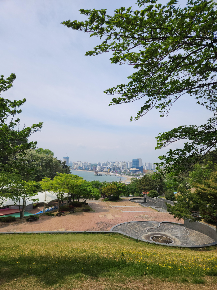 산에서 보는 영일대와 영일대해수욕장