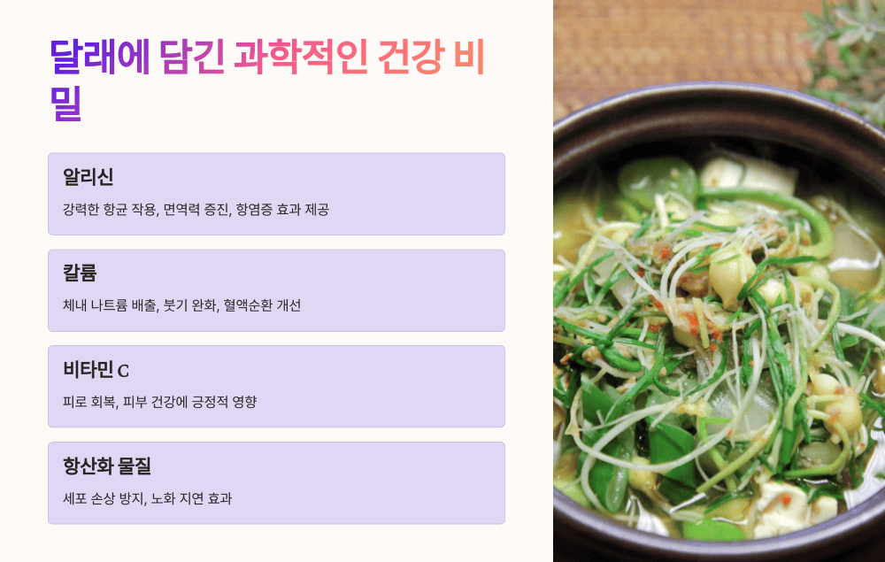 달래에 담긴 과학적인 건강 비밀