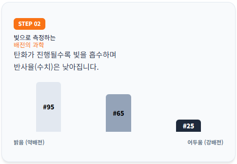 빛을 이용해 배전의 과학을 측정하는 원리 설명 패널입니다. 원두 내부의 유기물이 탄화될수록 빛 흡수율이 높아져 반사율 수치인 아그트론 넘버가 낮아짐을 시각화했습니다. #95의 약배전부터 #25의 강배전까지의 밝기 변화를 보여줍니다.