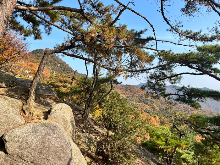 하산하는 길 2