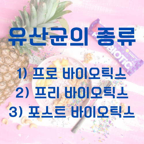 유산균_종류