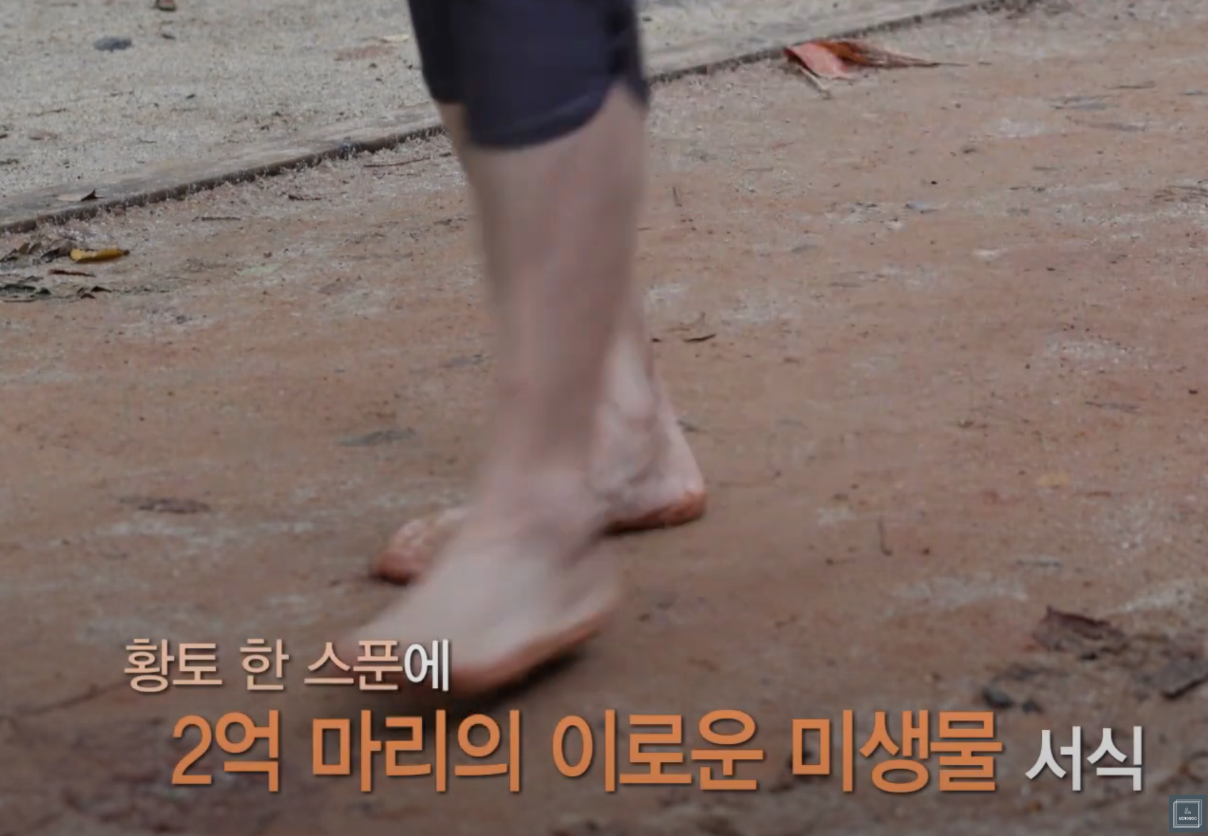 황토길-효능-발