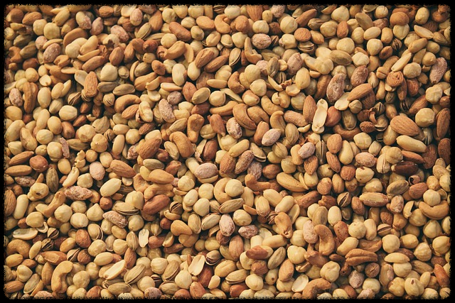 아몬드 효능_그림11