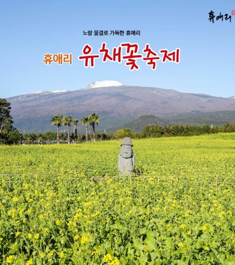 휴애리-유채꽃축제-광고포스터