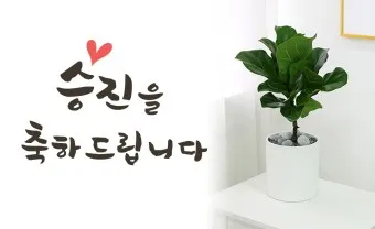 승진 축하 문구집 알아보기_9