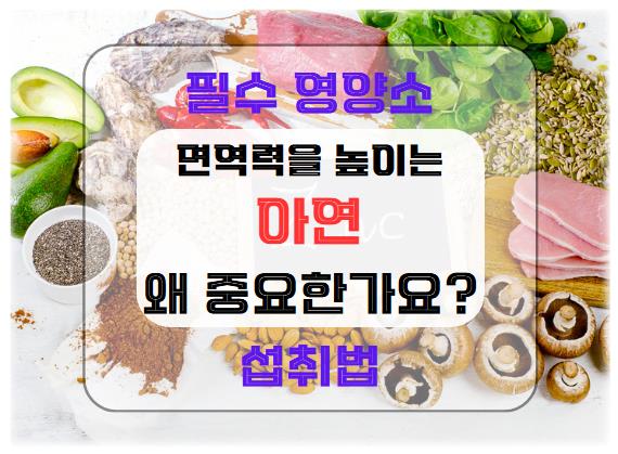 면역력을 높이는 필수 영양소, 아연: 왜 중요한가요?