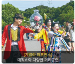 울산 장미축제 개화상황